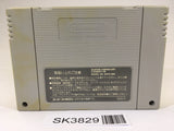 SK3829 Fatal Fury Special SNES Super Famicom Japan