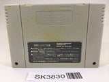SK3830 Fatal Fury Special SNES Super Famicom Japan