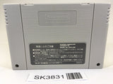 SK3831 Ogre Battle The March of the Black Queen SNES Super Famicom Japan