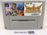 SK3832 Hiryuu no Ken S Golden Fighter SNES Super Famicom Japan