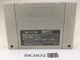 SK3832 Hiryuu no Ken S Golden Fighter SNES Super Famicom Japan