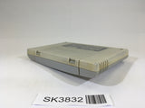 SK3832 Hiryuu no Ken S Golden Fighter SNES Super Famicom Japan