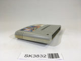 SK3832 Hiryuu no Ken S Golden Fighter SNES Super Famicom Japan