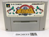 SK3833 Hanjuku Hero SNES Super Famicom Japan
