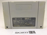 SK3833 Hanjuku Hero SNES Super Famicom Japan