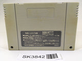 SK3842 Dragon Ball Z Super Saiya Densetsu SNES Super Famicom Japan