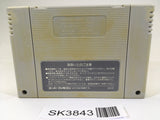 SK3843 Dragon Ball Z Super Saiya Densetsu SNES Super Famicom Japan