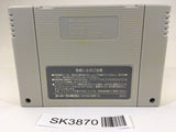 SK3870 The Legend Of Zelda A Link to the Past SNES Super Famicom Japan
