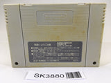 SK3880 Elnard The 7th Saga SNES Super Famicom Japan