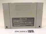 SK3893 Super Nobunaga no Yabou Bushou Fuuunroku SNES Super Famicom Japan