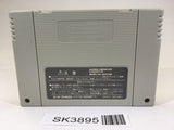 SK3895 Bahamut Lagoon SNES Super Famicom Japan