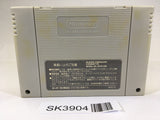 SK3904 Populous SNES Super Famicom Japan