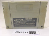 SK3917 Ranma 1/2 Chounai Gekitou Hen SNES Super Famicom Japan