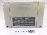 SK3918 Ranma 1/2 Chounai Gekitou Hen SNES Super Famicom Japan