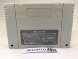 SK3919 Ranma 1/2 Chounai Gekitou Hen SNES Super Famicom Japan