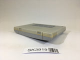 SK3919 Ranma 1/2 Chounai Gekitou Hen SNES Super Famicom Japan