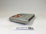 SK3919 Ranma 1/2 Chounai Gekitou Hen SNES Super Famicom Japan