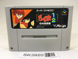 SK3920 Ranma 1/2 Chounai Gekitou Hen SNES Super Famicom Japan