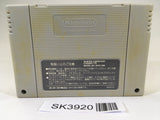SK3920 Ranma 1/2 Chounai Gekitou Hen SNES Super Famicom Japan