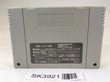 SK3921 Super Puyo Puyo SNES Super Famicom Japan