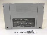 SK3934 Lemmings SNES Super Famicom Japan