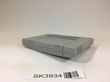 SK3934 Lemmings SNES Super Famicom Japan