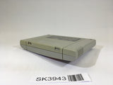 SK3943 Panel de Pon SNES Super Famicom Japan