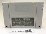 SK3944 The Game of Life Super Jinsei Game 2 SNES Super Famicom Japan