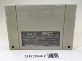 SK3947 Super Tetris 2 + Bombliss SNES Super Famicom Japan