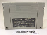SK3957 F1 Grand Prix Racing SNES Super Famicom Japan