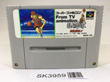 SK3959 From TV Animation Slam Dunk SNES Super Famicom Japan