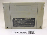SK3960 Super Dunk Star Basketball SNES Super Famicom Japan