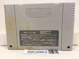 SK3963 Super Mario World SNES Super Famicom Japan