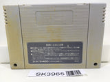 SK3965 Super Mario World SNES Super Famicom Japan
