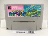 SK3978 Super Mario World 2 Yoshi's Island SNES Super Famicom Japan