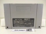 SK3981 Super Donkey Kong Country SNES Super Famicom Japan