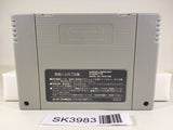 SK3983 Super Donkey Kong Country SNES Super Famicom Japan