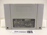 SK3986 Super Donkey Kong Country SNES Super Famicom Japan