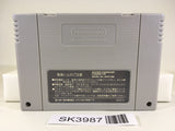 SK3987 Super Donkey Kong Country SNES Super Famicom Japan