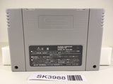 SK3988 Super Donkey Kong Country 2 SNES Super Famicom Japan