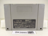 SK3990 Super Donkey Kong Country 2 SNES Super Famicom Japan