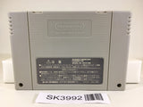 SK3992 Super Donkey Kong Country 3 SNES Super Famicom Japan