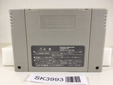 SK3993 Super Donkey Kong Country 3 SNES Super Famicom Japan