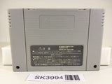 SK3994 Super Donkey Kong Country 3 SNES Super Famicom Japan