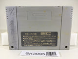 SK3995 Super Street Fighter II 2 SNES Super Famicom Japan