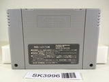 SK3996 Super Street Fighter II 2 SNES Super Famicom Japan