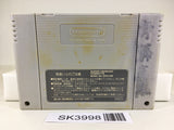 SK3998 Street Fighter II 2 Turbo SNES Super Famicom Japan