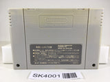 SK4001 Hanjuku Hero SNES Super Famicom Japan