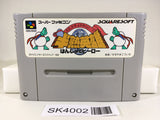 SK4002 Hanjuku Hero SNES Super Famicom Japan