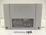 SK4002 Hanjuku Hero SNES Super Famicom Japan